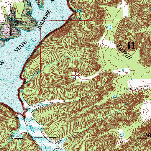 Topographic Map of Axsom Branch Pond, IN