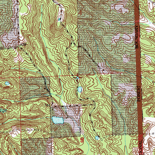 Topographic Map of Black Oak Pond, IN