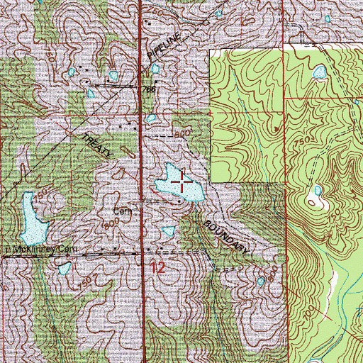 Topographic Map of Goodwin Lake, IN