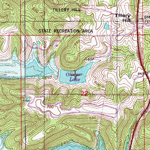 Topographic Map of Olinger Lake, IN