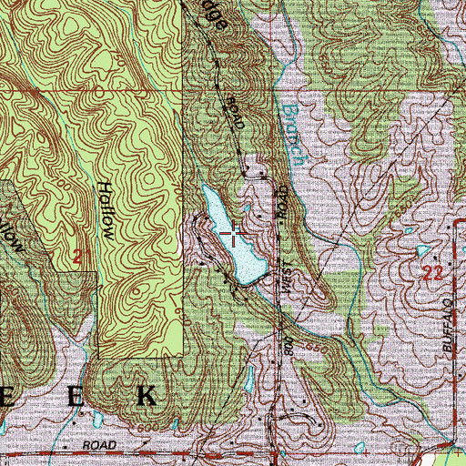 Topographic Map of Berry Branch Lake, IN