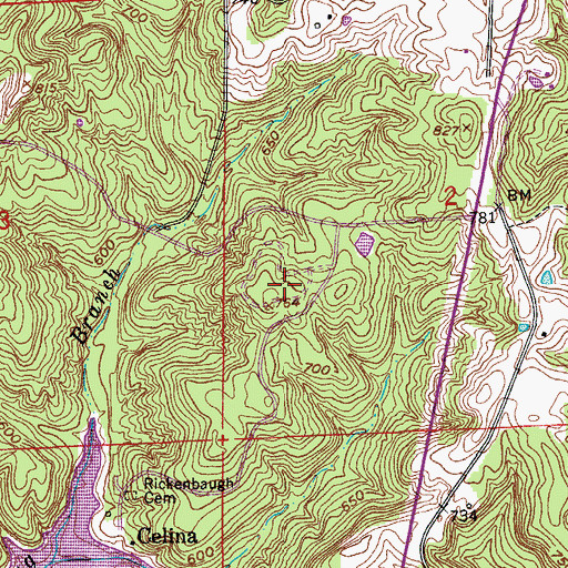 Topographic Map of Lake Celina Recreation Site, IN