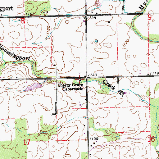 Topographic Map of Cherry Grove Tabernacle, IN