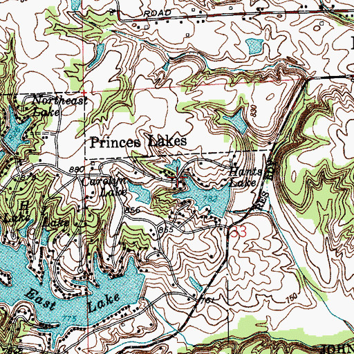 Topographic Map of Princes Lakes, IN