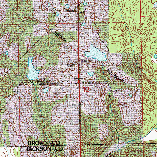 Topographic Map of Buffalo (historical), IN