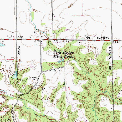 Topographic Map of Pine Ridge Mine Pond, IN