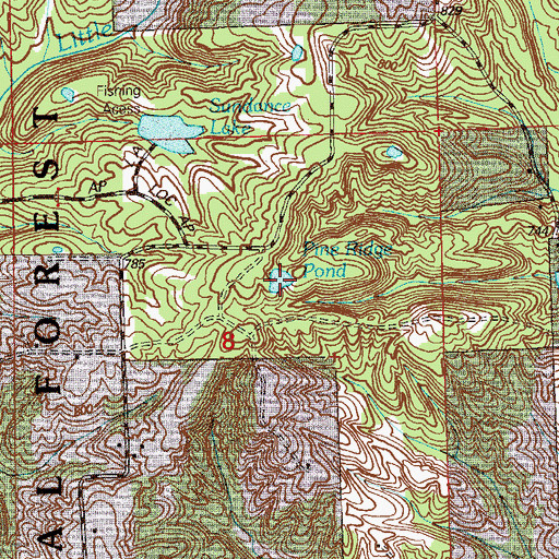 Topographic Map of Pine Ridge Pond, IN