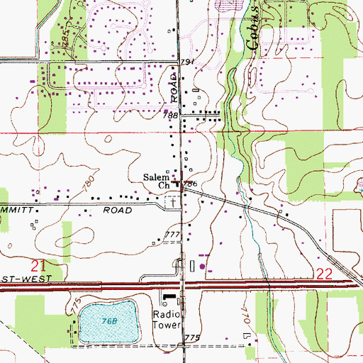Topographic Map of Salem Church, IN