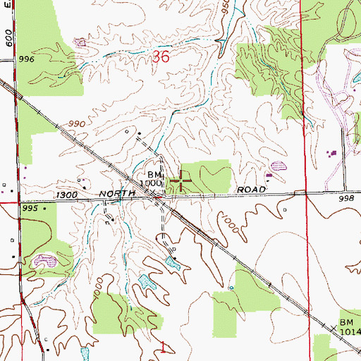 Topographic Map of Township of Adams, IN