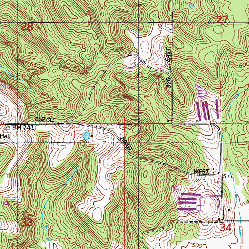Topographic Map of Township of Columbia, IN