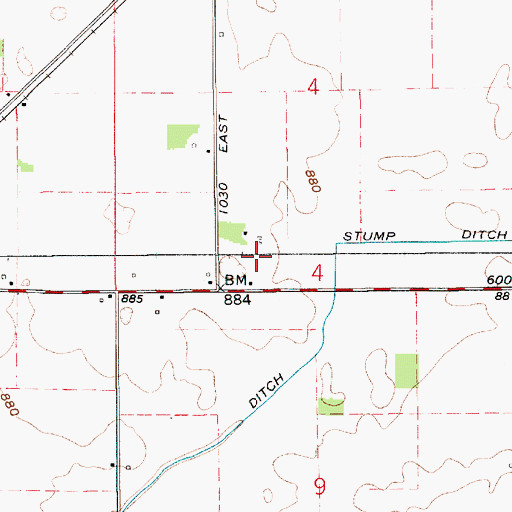 Topographic Map of Township of Forest, IN