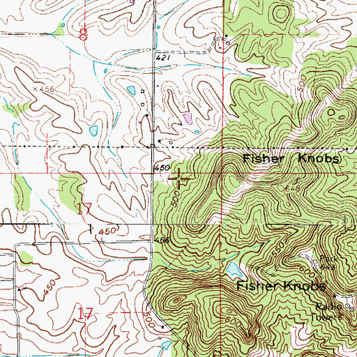 Topographic Map of Township of Grass, IN