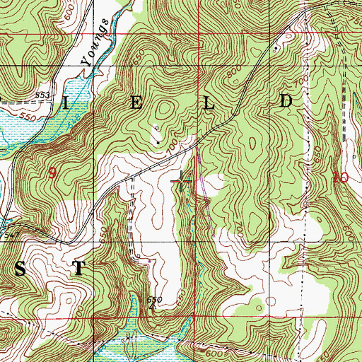 Topographic Map of Township of Greenfield, IN