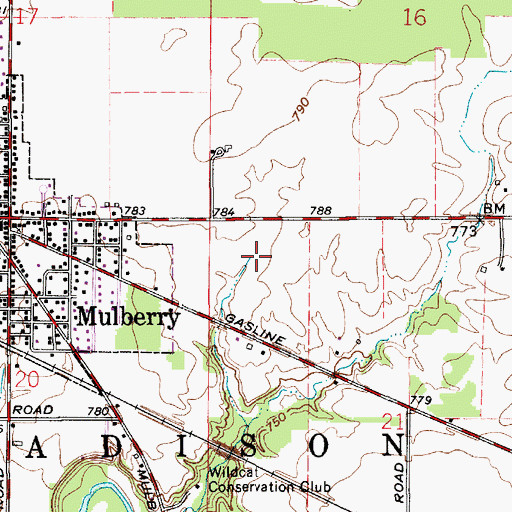 Topographic Map of Township of Madison, IN