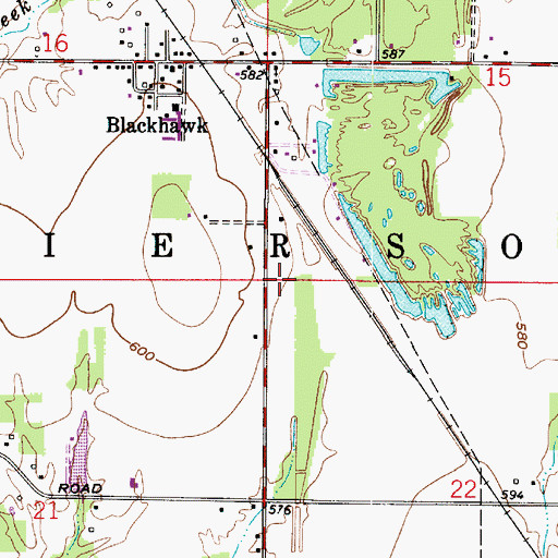 Topographic Map of Township of Pierson, IN