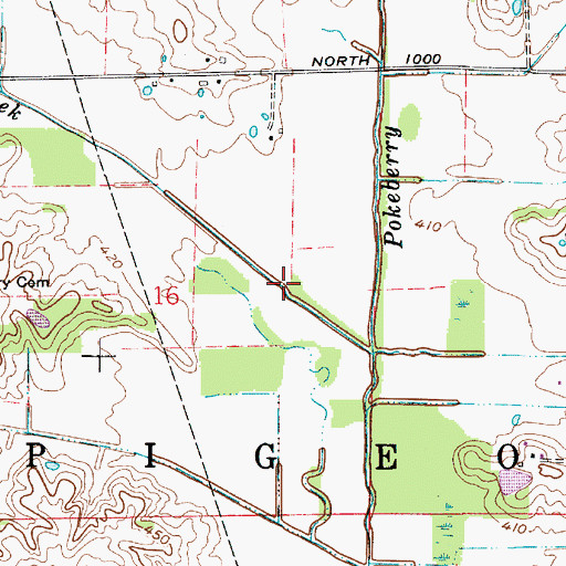 Topographic Map of Township of Pigeon, IN