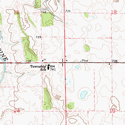Topographic Map of Township of Pine, IN