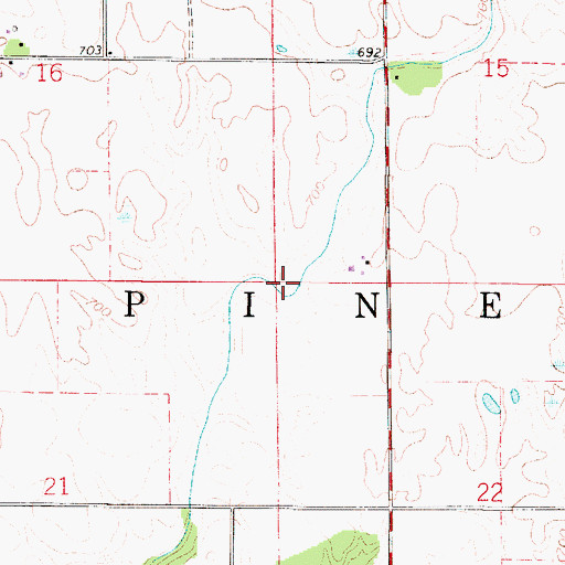Topographic Map of Township of Pine, IN