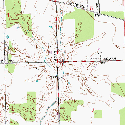 Topographic Map of Township of Ray, IN