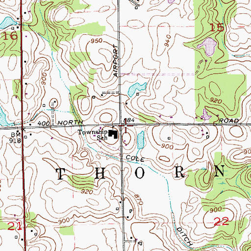 Topographic Map of Township of Thorncreek, IN