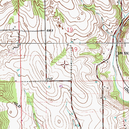 Topographic Map of Township of Wayne, IN