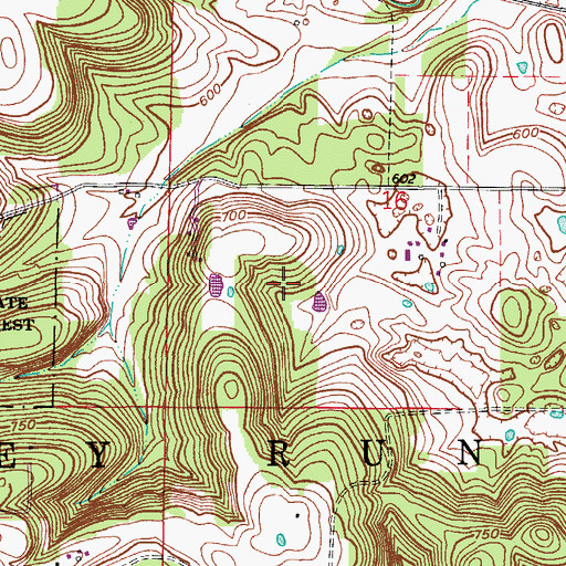 Topographic Map of Township of Whiskey Run, IN
