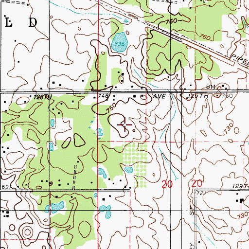 Topographic Map of Township of Winfield, IN