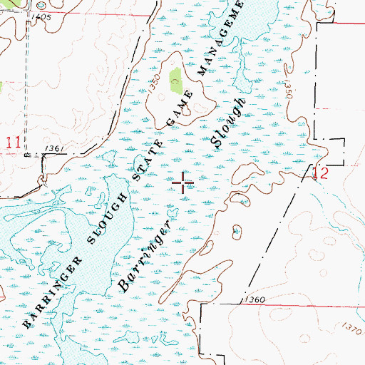 Topographic Map of Barringer Slough, IA