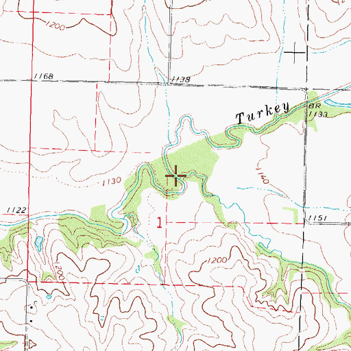 Topographic Map of Bear Branch, IA
