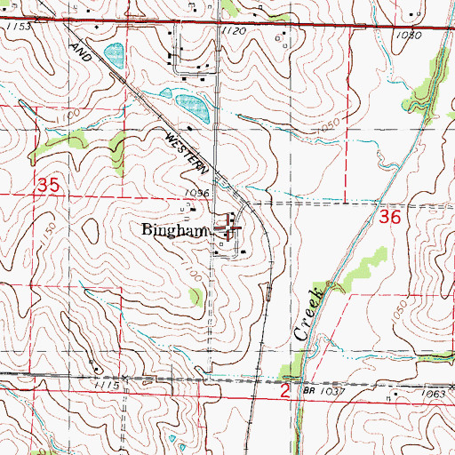 Topographic Map of Bingham, IA