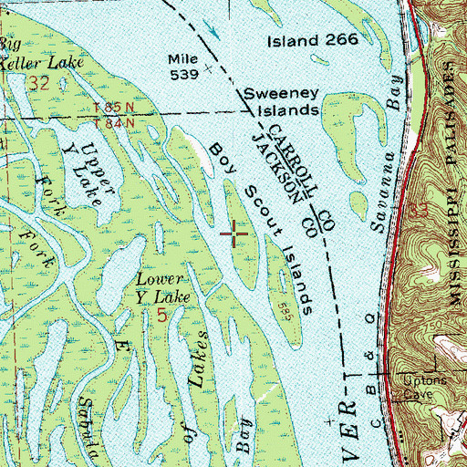 Topographic Map of Boy Scout Islands, IA