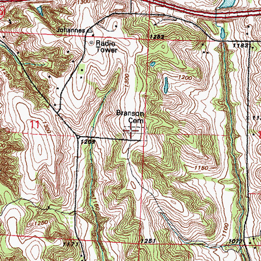 Topographic Map of Branson Cemetery, IA