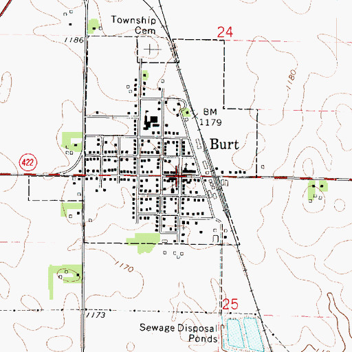 Topographic Map of Burt, IA