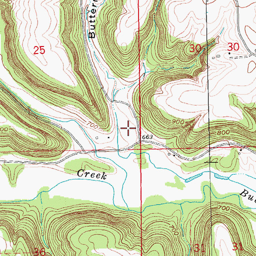 Topographic Map of Butternut Hollow, IA