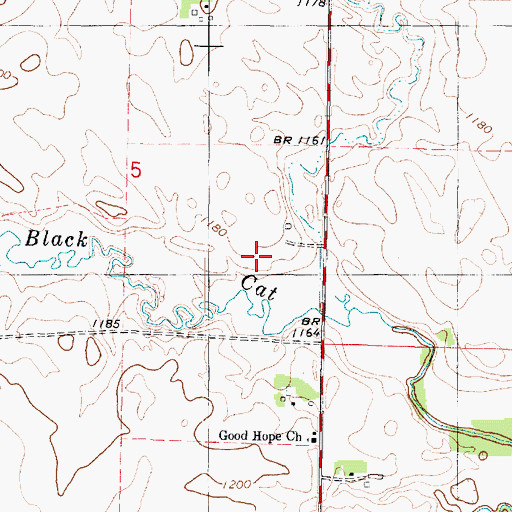 Topographic Map of Calamus Creek, IA