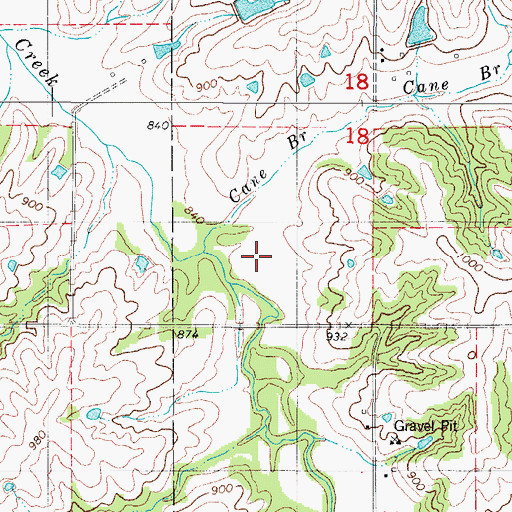Topographic Map of Cane Branch, IA