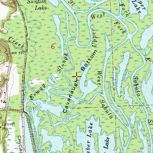 Topographic Map of Cavanaugh Bottom, IA