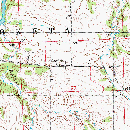 Topographic Map of Codfish Cemetery, IA