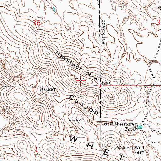 Topographic Map of KAVV-FM (Benson), AZ