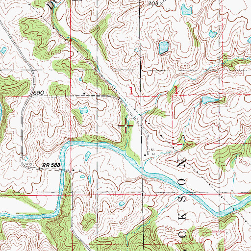 Topographic Map of Dickey Branch, IA