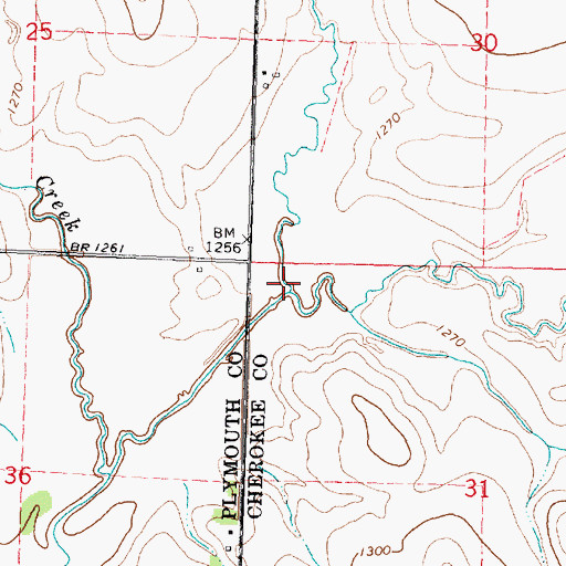 Topographic Map of Fiddle Creek, IA