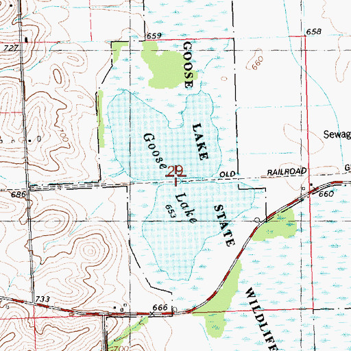 Topographic Map of Goose Lake, IA