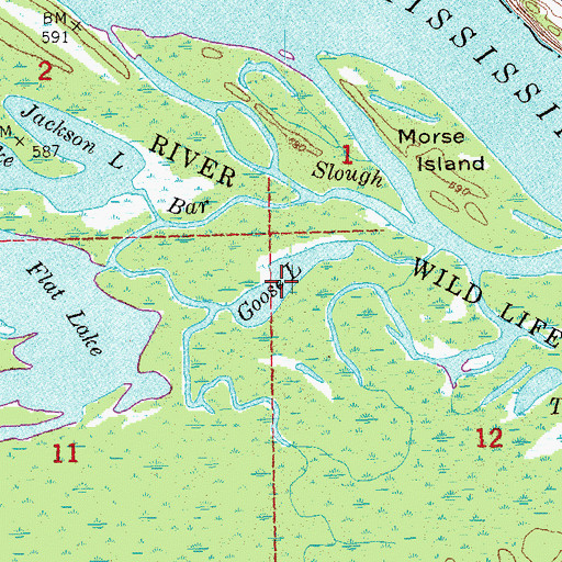 Topographic Map of Goose Lake, IA