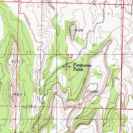Topographic Map of Ferguson Tank, AZ