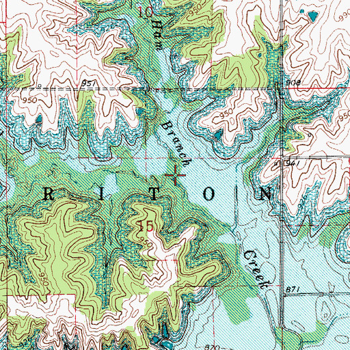 Topographic Map of Ham Branch, IA