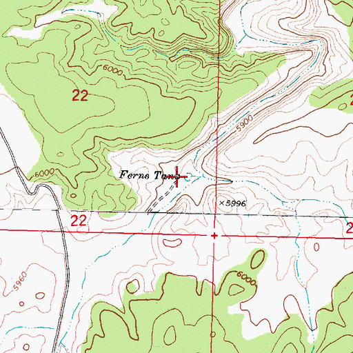 Topographic Map of Ferns Tank, AZ