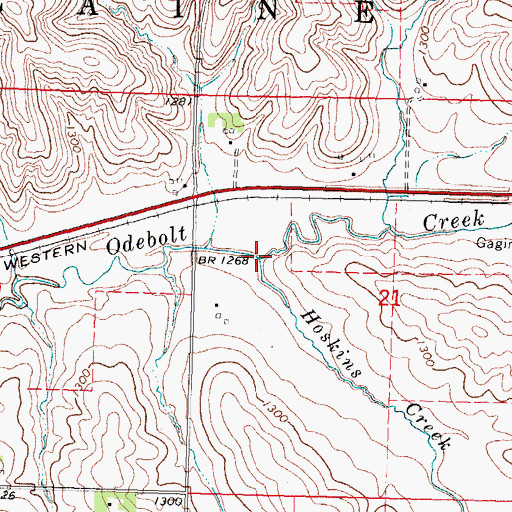 Topographic Map of Hoskins Creek, IA