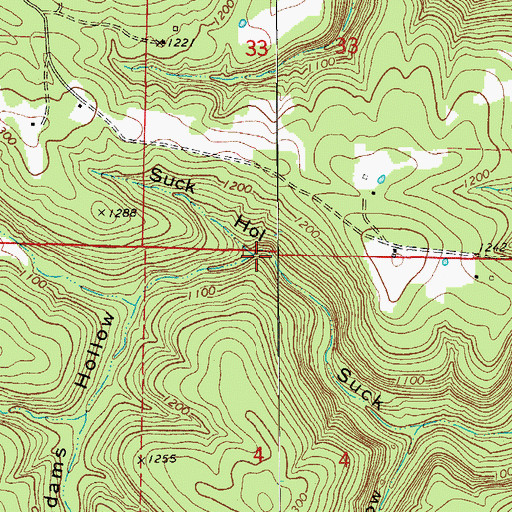 Topographic Map of Adams Hollow, AR