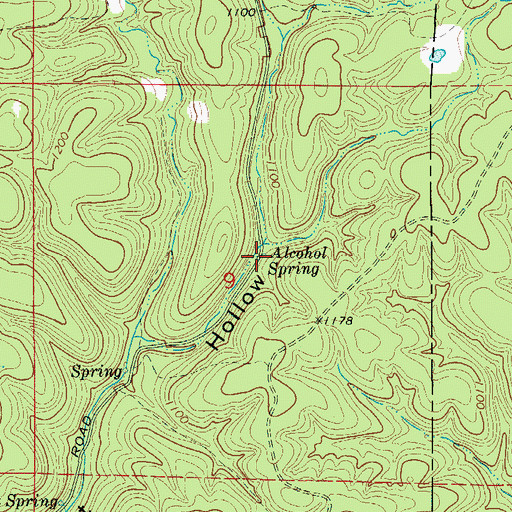 Topographic Map of Alcohol Spring, AR