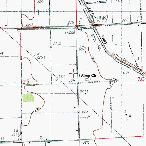 Topographic Map of Alsup Church, AR